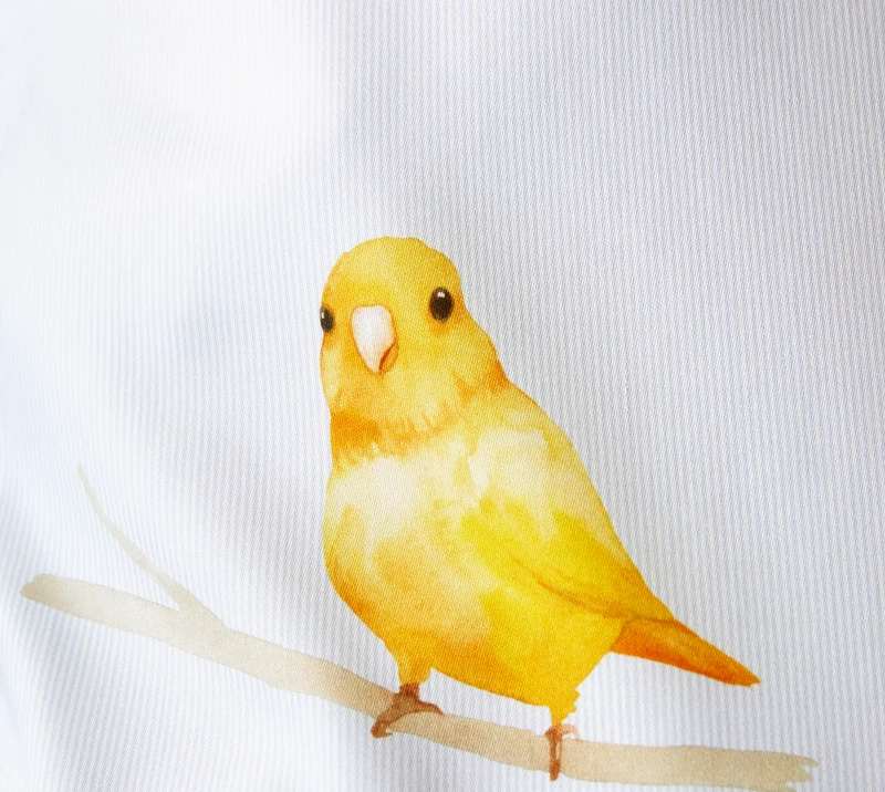 Lovebirds