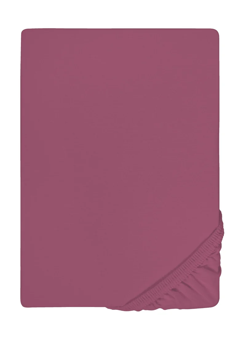 Castell Jersey-Stretch Spannbetttuch (0077113)
