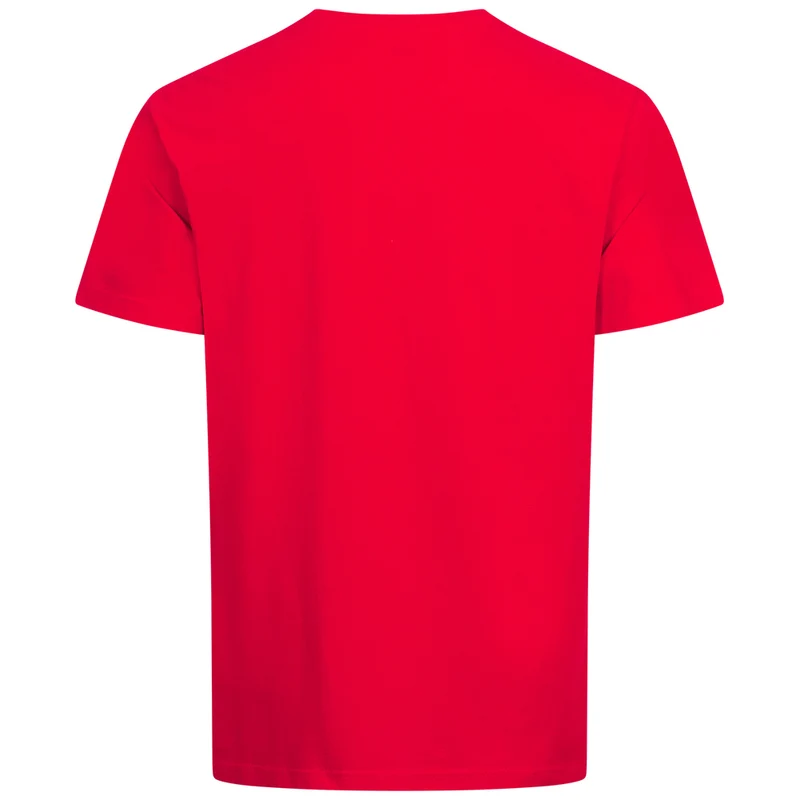 Reebok Citywide Photo QT Herren T-Shirt 100206840