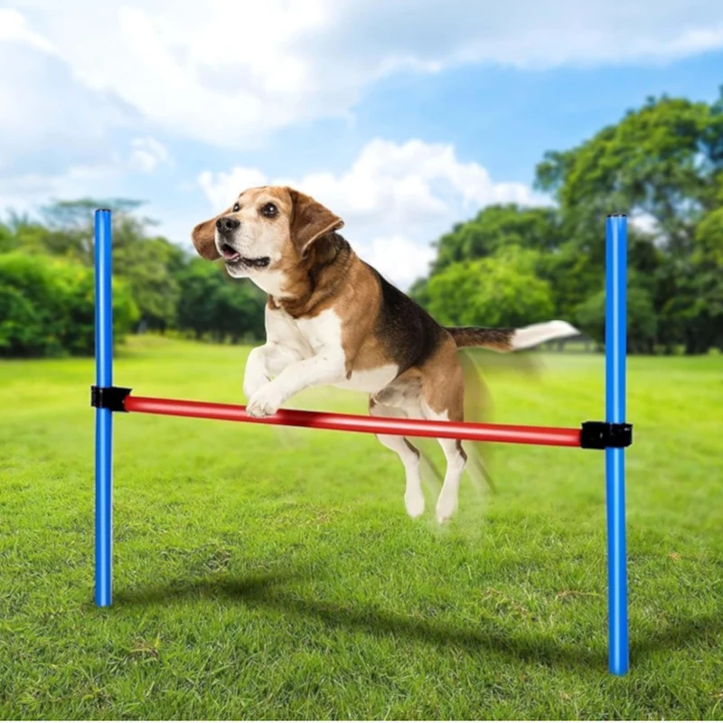 maxxpro Agility Spring Stick - Set Agility für Hunde 47432