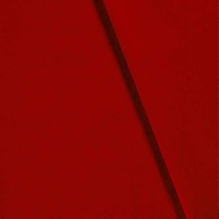 Canvasstoff *Ab 50cm