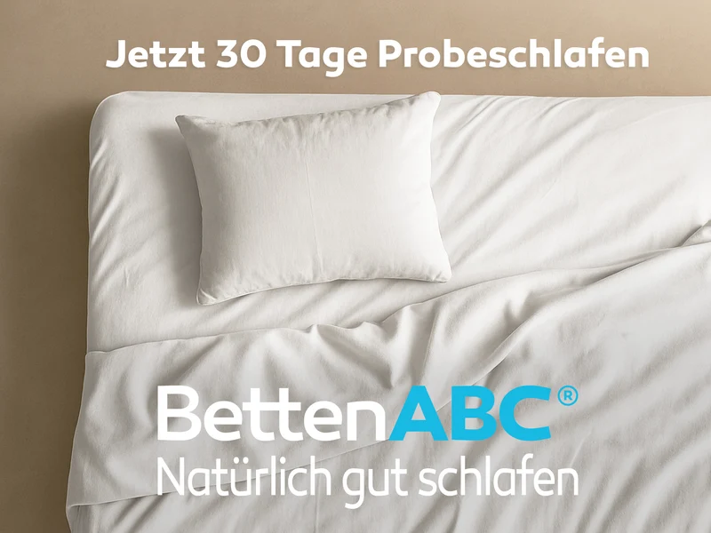 Betten-ABC Max1 Elektro Lattenrost