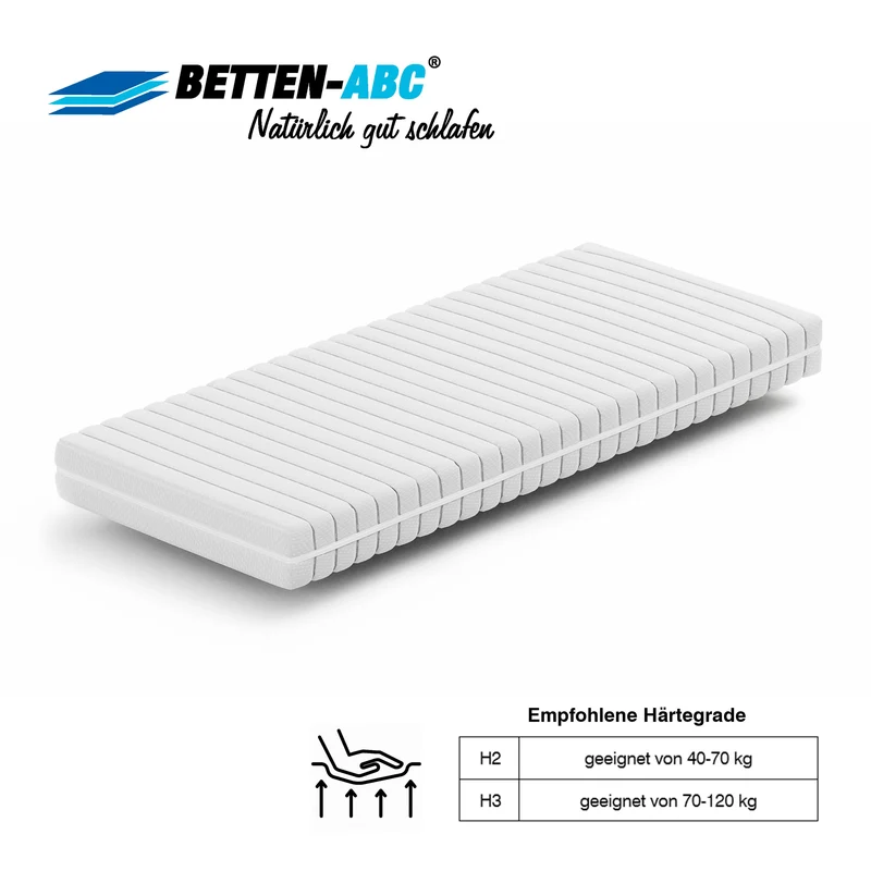 Matratzenset: 90x200cm KSP-500 Matratze in H2 + Max1 NV Lattenrost