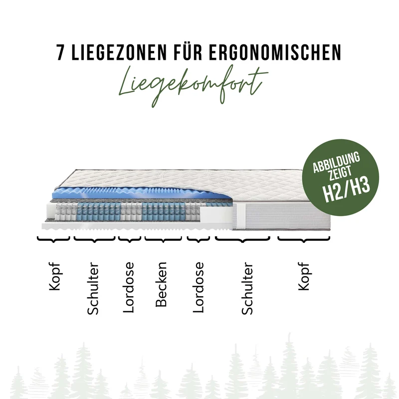 Schwarzwaldmarie Klara Taschenfederkern-Matratze