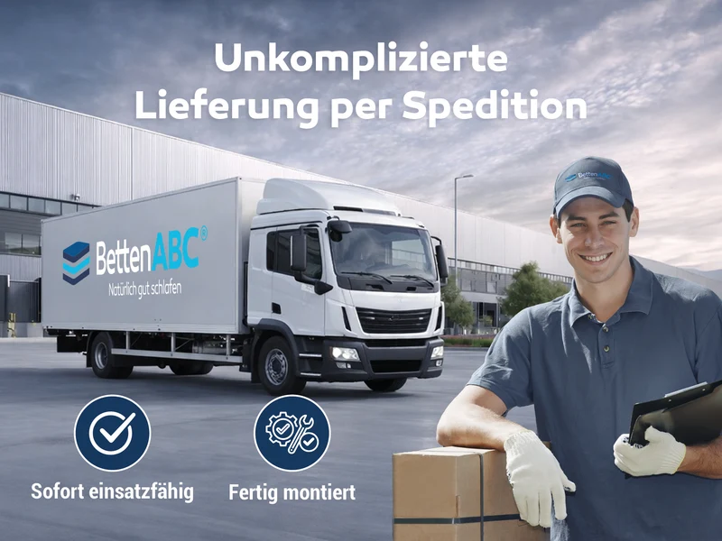 Betten-ABC Move Elektro Lattenrost