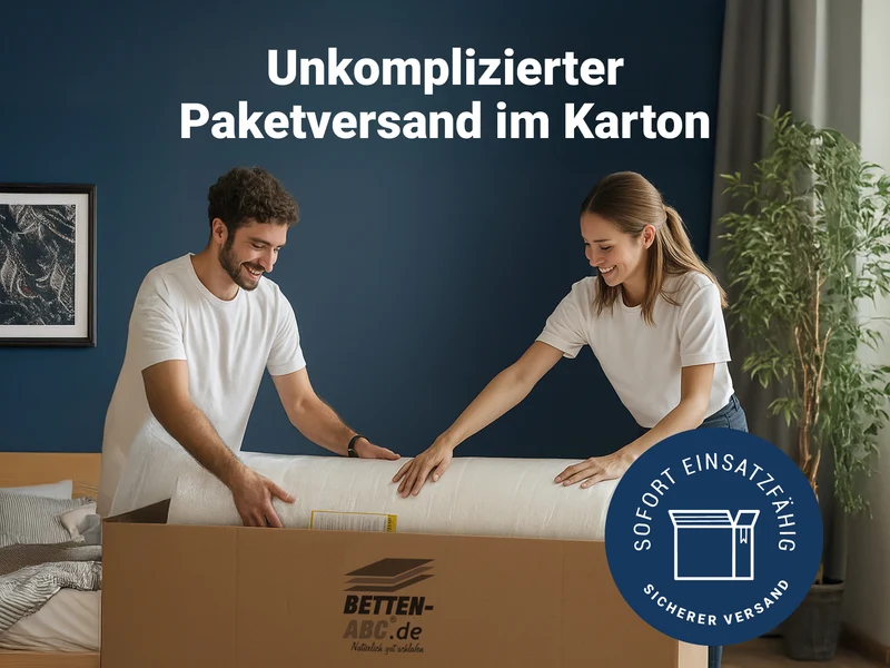 Betten-ABC Basic-Line Komfortschaummatratze