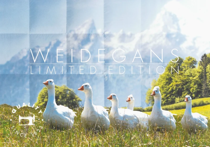 WEIDEGANS Limited Edition Bettdecke 100% Gänsedaune Mako Batist 135x200 / 155x220 - MEDIUM