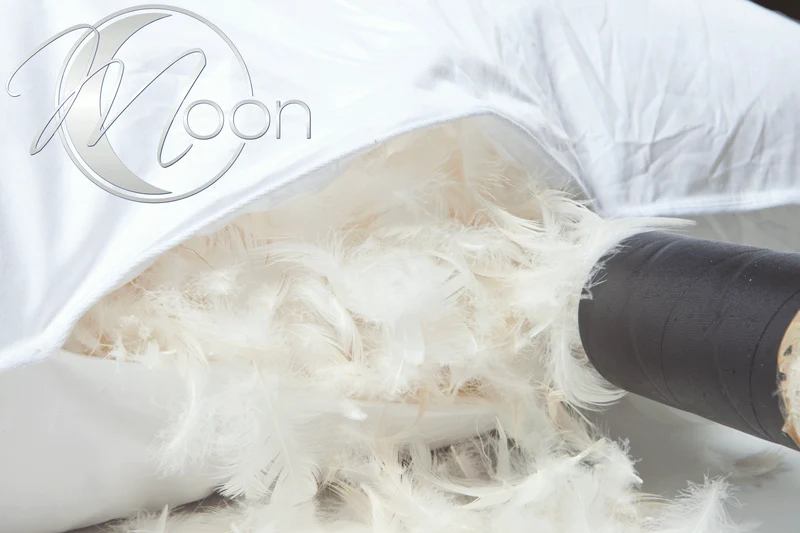 MOON Classic Kopfkissen Kissen 100% Gänsefedern von Bielefelder Bettfedern-Manufaktur BBV