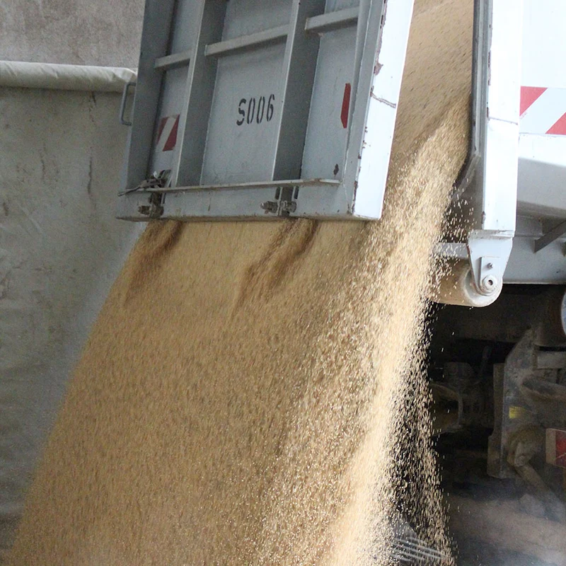 Hirsekissen mit Zirbenspänen, Bio (kbA)
