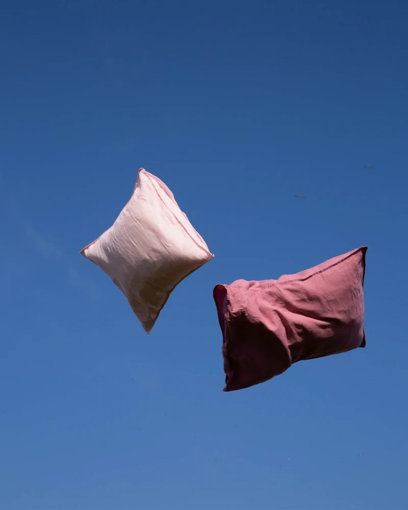 Kussensloop Linnen Shell Pink