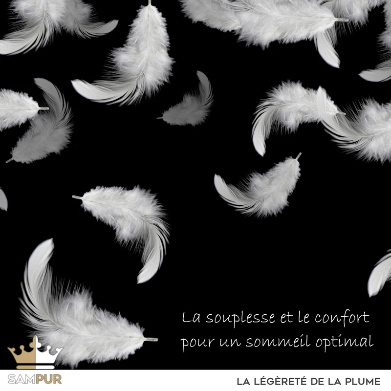 Traversin ergonomique, plumes de canard, tissu coton - Collection Luxe