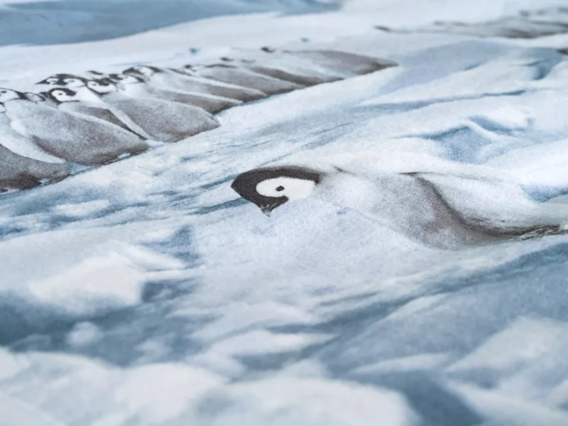 Zo!Home Winter-Bettwäsche Pinguini -