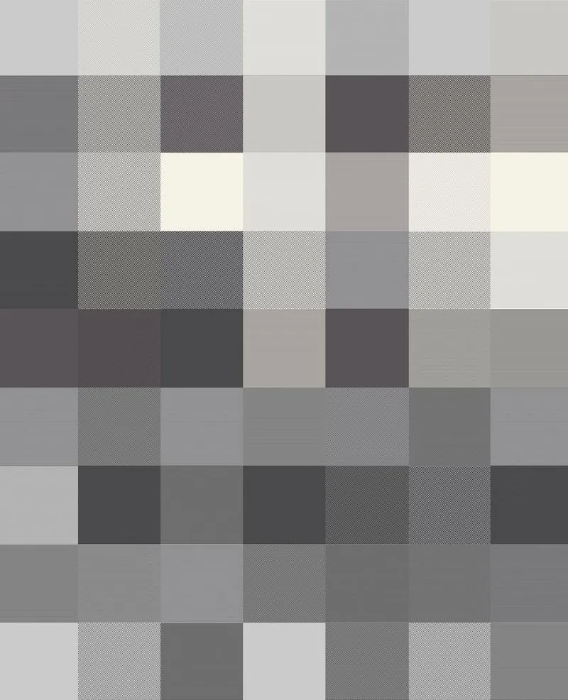 Biederlack Decke Check 150x200cm coal